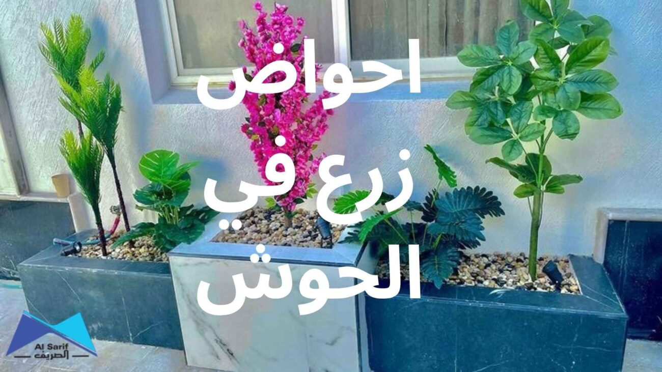 احواض زرع في الحوش